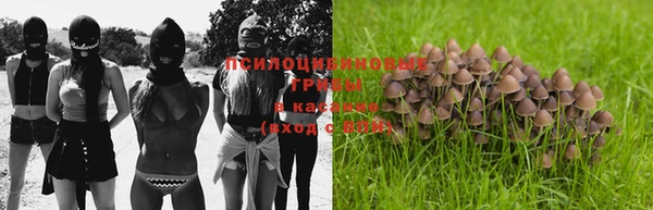 спайс Нефтекумск