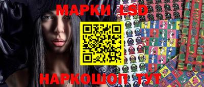 Альфа ПВП Бийск