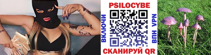 Галлюциногенные грибы мицелий Бор
