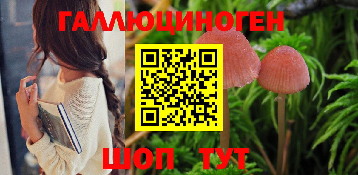 Псилоцибиновые грибы Psilocybine cubensis  Бор 