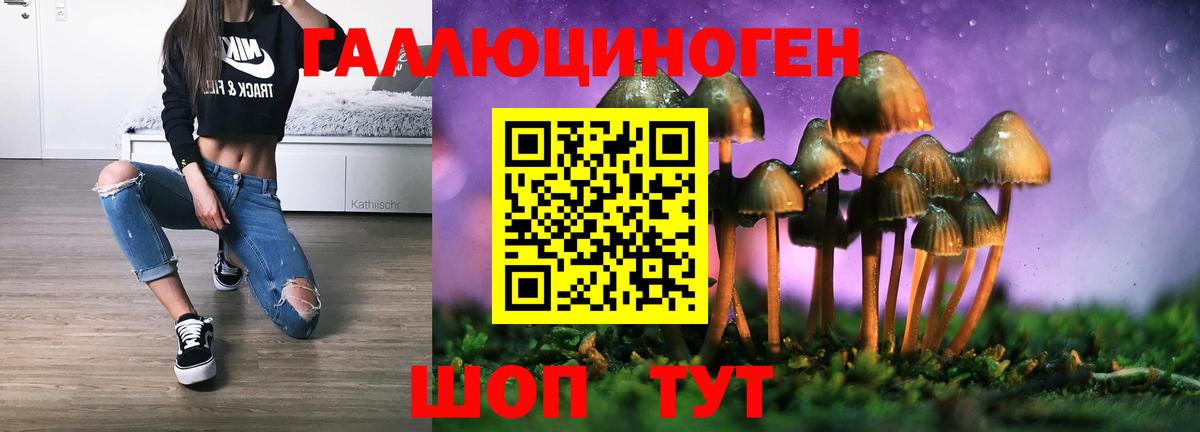 Псилоцибиновые грибы прущие грибы Бор