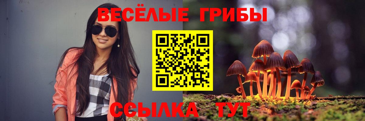 Бор  Галлюциногенные грибы GOLDEN TEACHER  Вход с VPN 